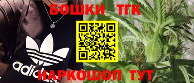 apvp Можга