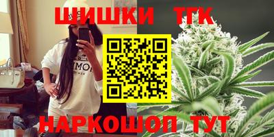 apvp Можга