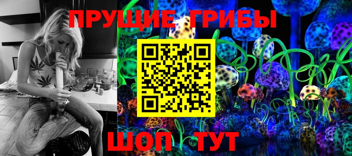 Соль-Илецк  Галлюциногенные грибы Psilocybine cubensis  Галлюциногенные грибы Psilocybe  Вход с VPN 